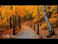 Schöne Entspannungsmusik Schluss Mit Dem Grübeln Stressabbaumusik Mit Herbstmelodie