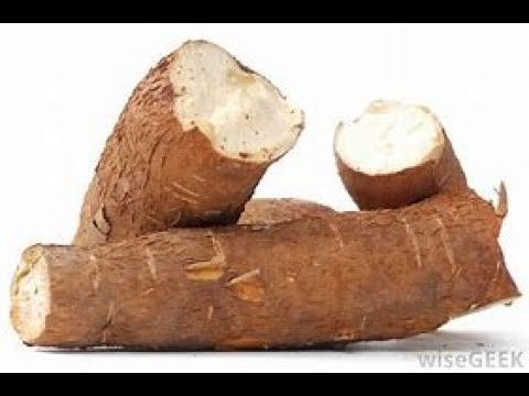 Cassava & Tapioca Flour Explained #220