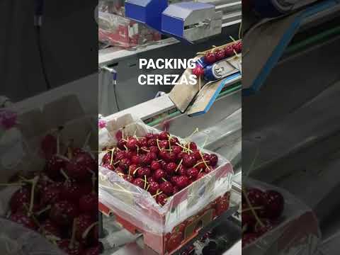 PACKING CEREZAS