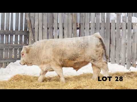 Lot 28 - LAE 187J