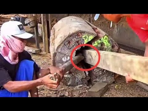 Untung kelihatan !! waspadalah sesuatu di dalam kayu bolong ini berbahaya untuk sawmill.woodworking