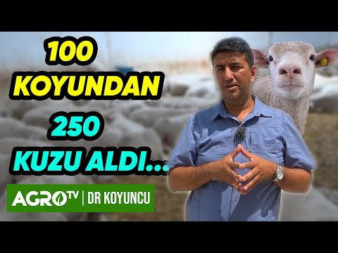 , title : '100 Koyundan 250 Kuzu! İle De France Damızlık Üretimi Hakkında Her Şey | Dr. Koyuncu - Agro TV'