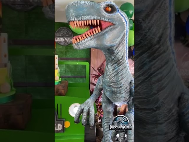 Vídeo relacionado con Acuiwer llavero de Silicona para niños, Juego de 24 llaveros de Goma de Dinosaurios para regalar en Fiestas de fin de Fiesta