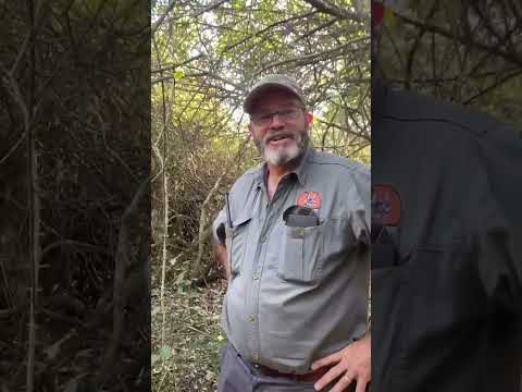 Dubula Hunting Safaris - Blue Duiker Hunt 2024