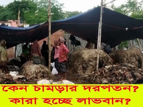 একুশের চোখ-১৫৮ || কেন চামড়ার দরপতন? কারা হচ্ছে লাভবান? || একুশের চোখ || ২৪ আগস্ট ২০১৯