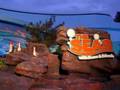 Finding Nemo Gulls The Seas
