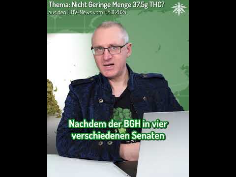 👨‍⚖️ Urteil gegen BGH: Nicht Geringe Menge 37,5 g THC | Clip aus den DHV-News vom 08.11.2024