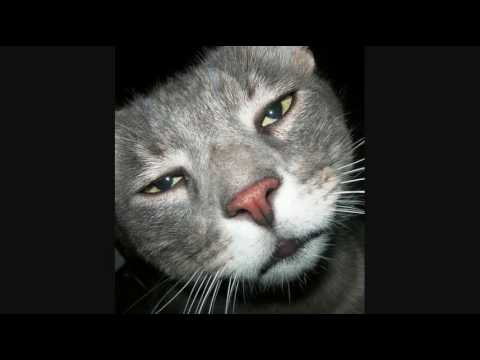 Jakes- Warface 2010 remix