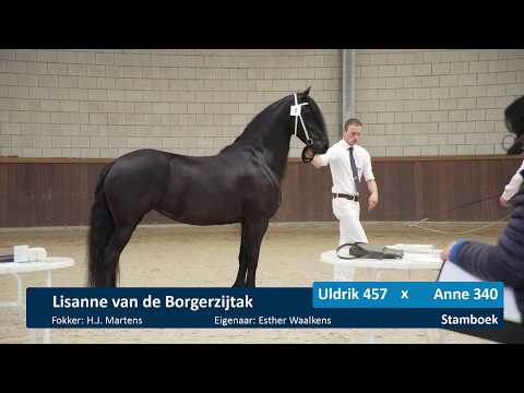 Locatiekeuring Stal de Mersken 5 -6- 2020