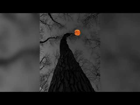 JLC X CHO X DAV - Cuxy Gali Qez | LYRICS |