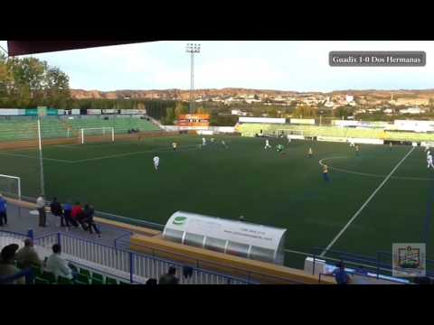 [EETG] Resumen Guadix 1 - Dos Hermanas SA 0