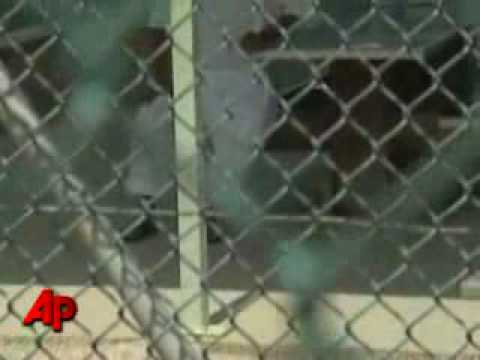 Поранешниот возач на Осама Бин Ладен го напушти Гвантанамo