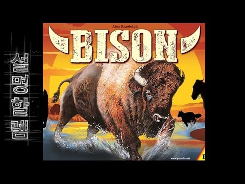 설명할렘 121. 바이슨 (by 뉴멘)