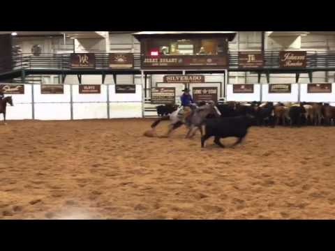 SDP Buffalo Ranch - Sannman