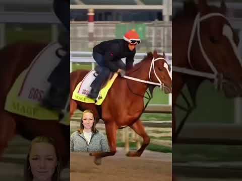 , title : 'Fast, faster, fastest. #horse #kentuckyderby #running #educational'