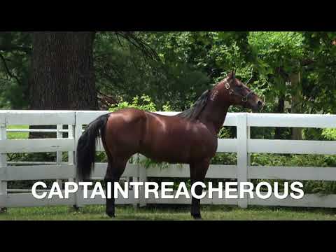 2023 Captaintreacherous promotional video