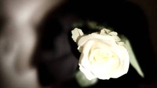 David Lynch - I know