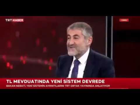 THE ECONOMIC MODEL WAS THE GLITTER IN MINISTER NEBATI'S EYES