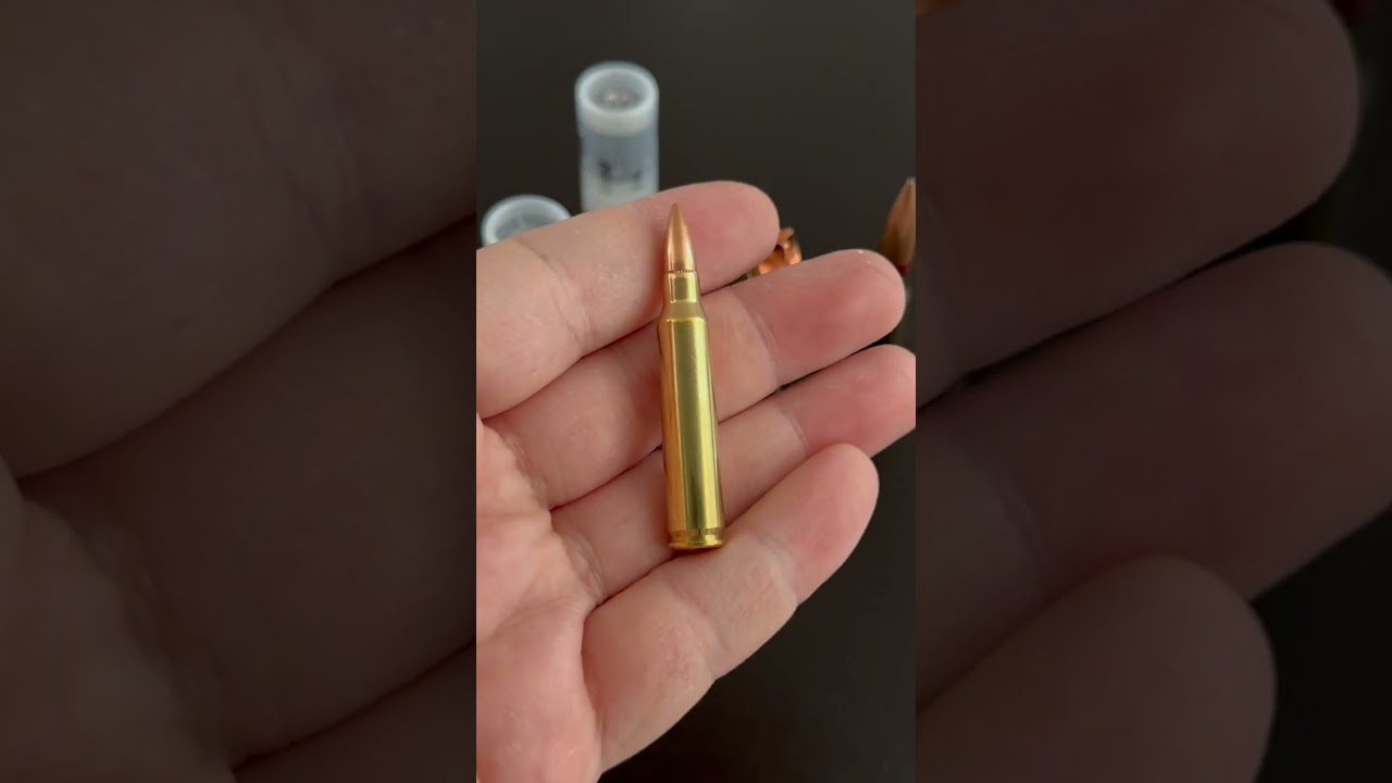 How big is a .223 Rem? Size comparison