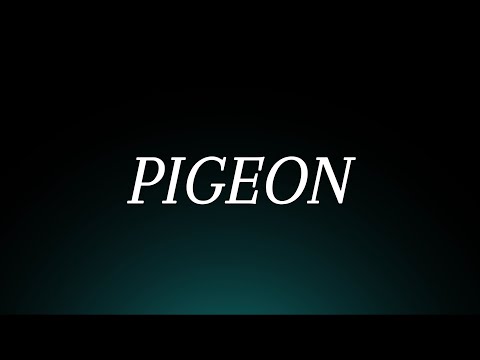 Learn How to Pronounce 'Pigeon'! The Pronunciation Guide (Bird Pronunciation)
