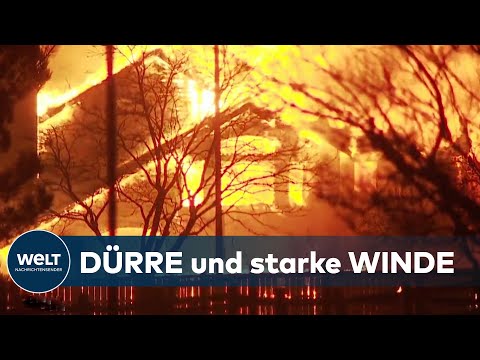 FEUERSBRUNST USA: Heftige Waldbrände in Colorado treiben Zehntausende in die Flucht