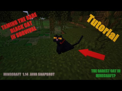 TroubadourGaming - Minecraft 1.14 The Spooky Black Cat