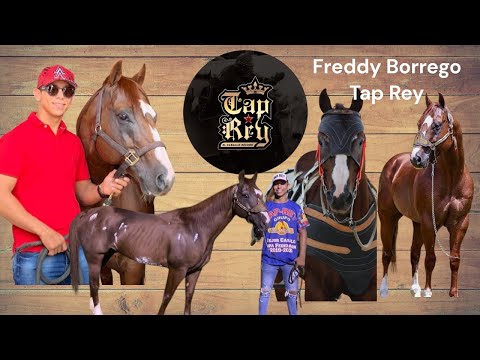 Record-Breaking Man on the Record-Breaking Horse of the COLEO F/B at Tap Rey