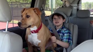Autistic Boy & Rescue Dog Bond
