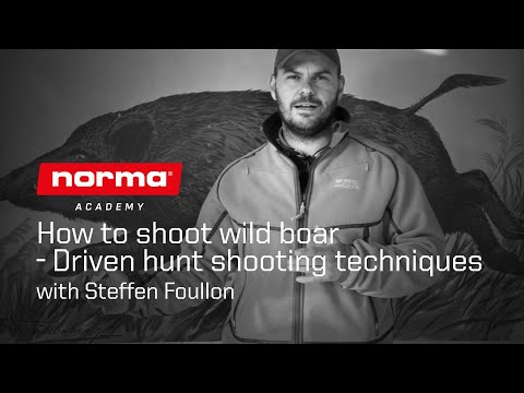 How to shoot wild boar – Driven hunt shooting techniques | Norma Academy