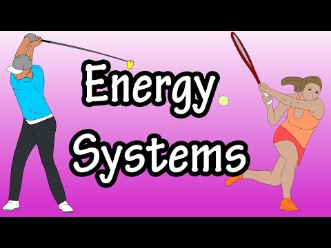 Energy Systems - ATP Energy In The Body - Adenosine Triphosphate - Glycolysis