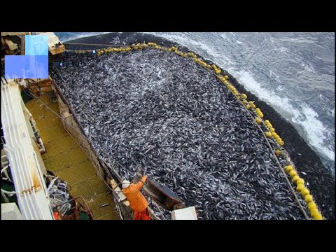 Amazing Net Fishing Under Ice Catch Hundreds Tons of Big Fish || Catching Super Giant Ocean Tuna