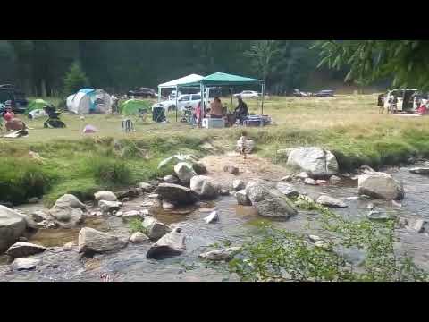 valea valsanului 2023