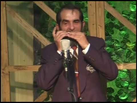 Top 12 cele mai frumoase melodii la muzicuță-