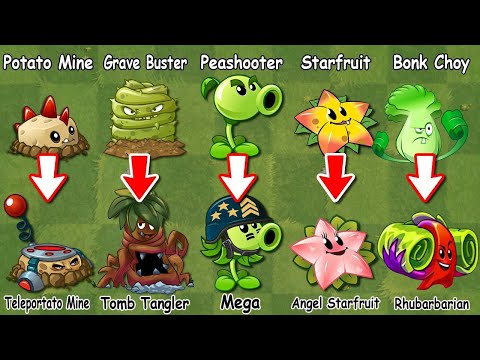 PvZ 2 Discovery - Every All Plants Evolution NOOB - PRO (China & International version)