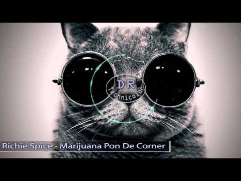 Richie Spice – Marijuana Pon De Corner (HD)