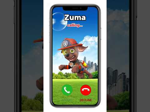 Zuma paw patrol calling #pawpatrol #pawpatroltoys #toys #pjmasks