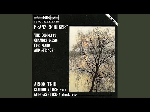 Piano Trio No. 2 in E-Flat Major, Op. 100, D. 929: II. Andante con moto