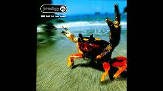 The Prodigy - Fuel My Fire (Dynamic Edit)