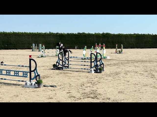 JHONNY DU THAR &ndash; Hongre SF &ndash; 7 ans &ndash; 1,73 m
