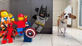 Animations in REAL LIFE vs PUPPY : LEgo Marvel