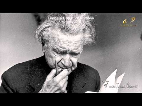 Trăsăturile prozei moderniste (Romanul Modern)