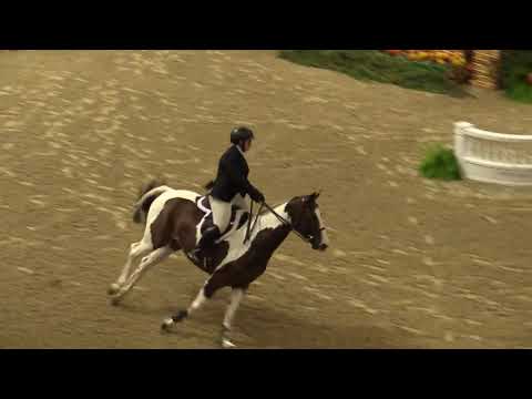 Video of MCG'S RAINBOW ridden by ISABEL KAISER from ShowNet!
