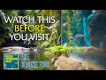 Watch This Before You Visit The Bronx Zoo