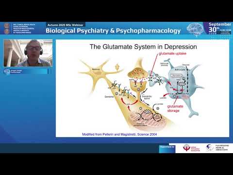 Hasler G. - Psychotherapy, Psychedelics and Neuroplasticity