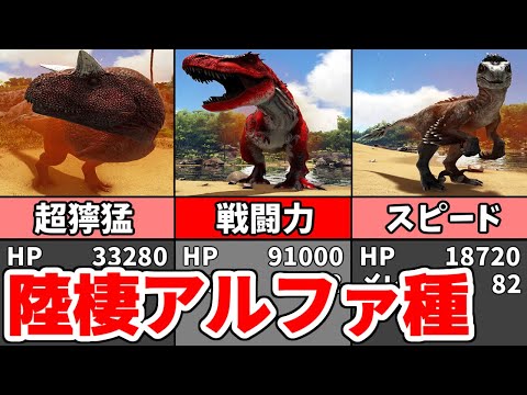 アルファロ クルトラトゥスについて詳しく解説