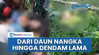 Motif Carok Maut Antartetangga di Lumajang, Bermula dari Daun Nangka hingga Dendam Lama