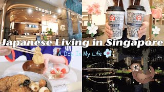 【シンガポールVlog】CHAGEEの人気ドリンク2種飲んでみた🧋癒しの暮らしとおでんの夜🍢🦦まさかのオッター遭遇⁉︎