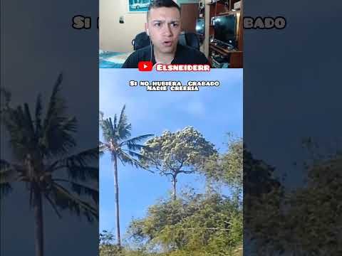 Si no lo hubiera grabado nadie me creeria