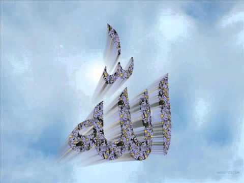 BILAL BOSNIC-HUTBA 16.11.2012.-TEMA:LAĐA SPASA