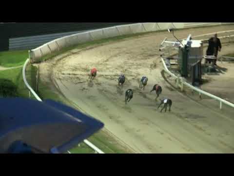 2017 WILLIAM HILL PETERBOROUGH DERBY - 2ND SEMI - T3 HIYA BUTT